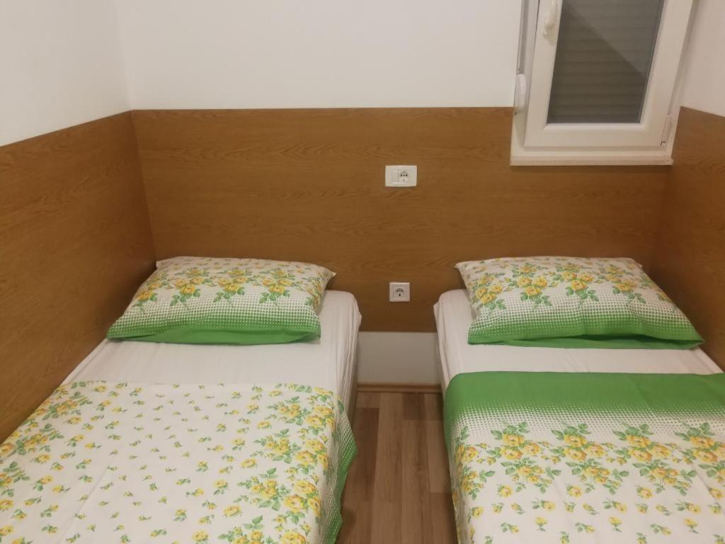 Apartment Darko *